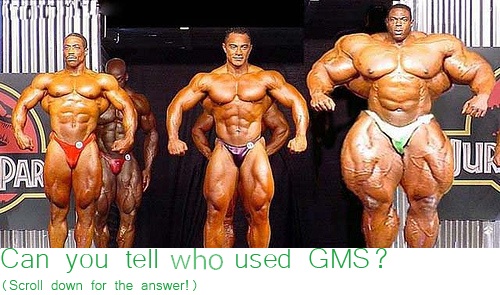 GMS